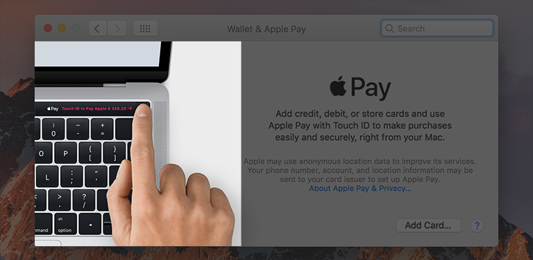 Screenshot of the Wallet & Apple Pay preferences pane, showing an image within the pane.