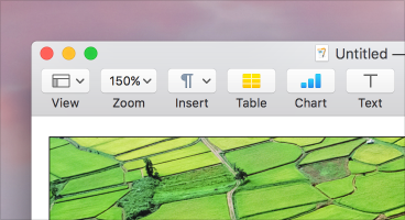 Toolbar icons, as shown in a Pages document window.