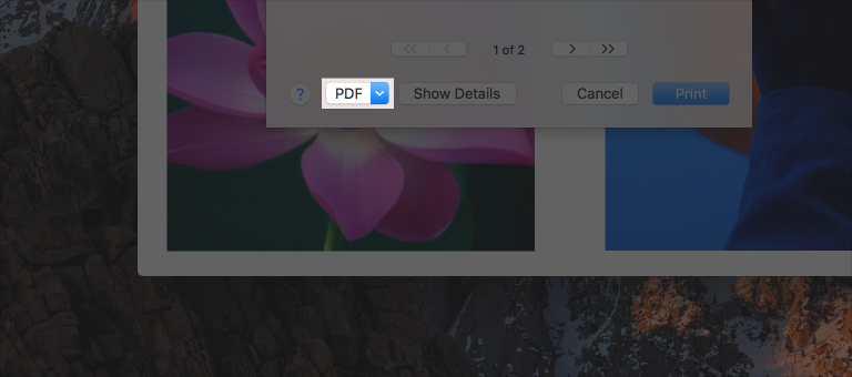 Partial screenshot of the Print sheet, highlighted to show the closed PDF pull-down button.