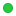 A green dot.