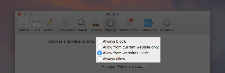 Screenshot of Safari’s preferences window, showing a set of four radio buttons for choosing the disposition of cookies and website data.