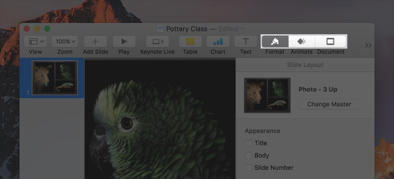 Partial screenshot of a Keynote window in which the format, animate, and document segmented control in the toolbar is highlighted.