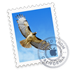 App icon for Mail.