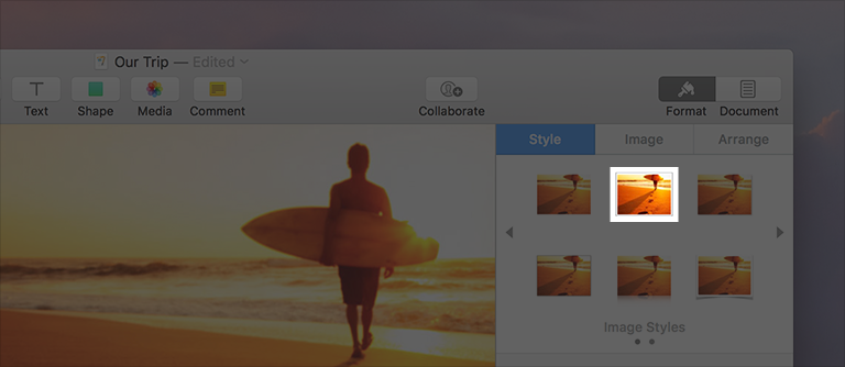 Screenshot of an image button as used in Pages to show how an image will appear when applying styles.